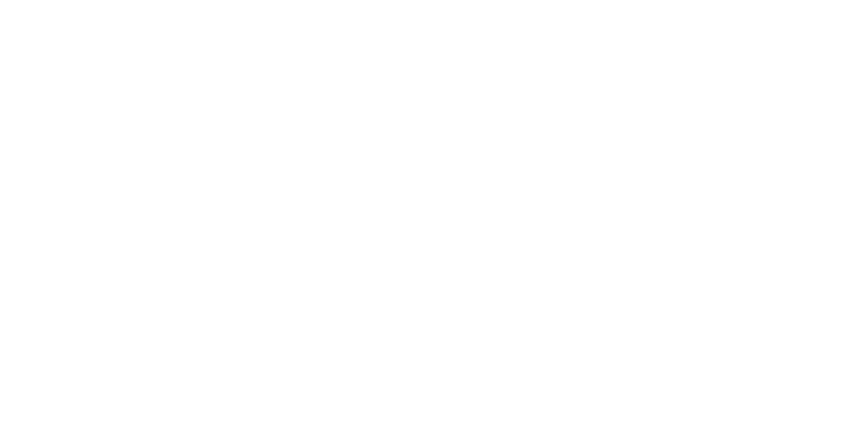 fel Wordmark
